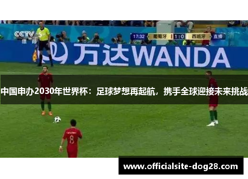 中国申办2030年世界杯：足球梦想再起航，携手全球迎接未来挑战